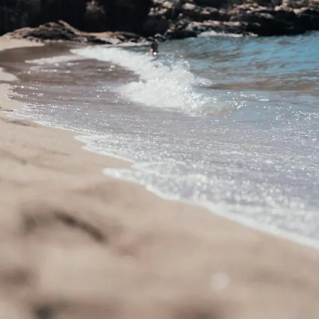 Paradise فندق