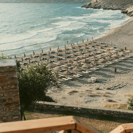 Paradise 3*