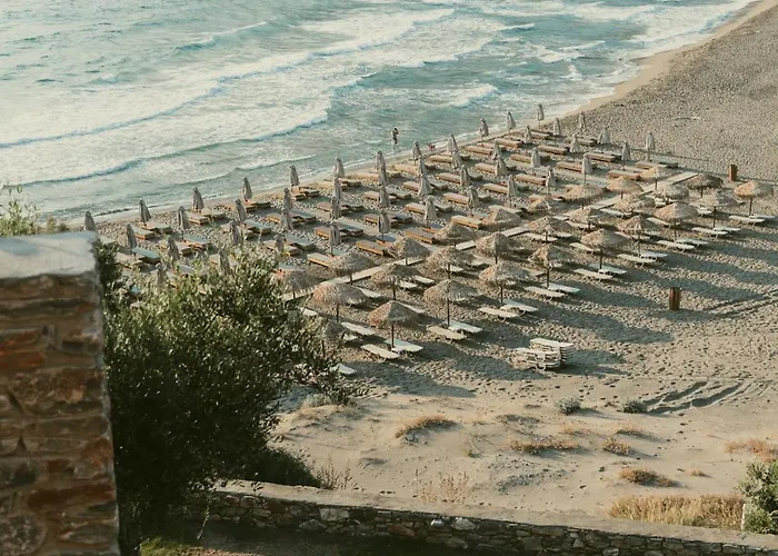 Paradise 3*