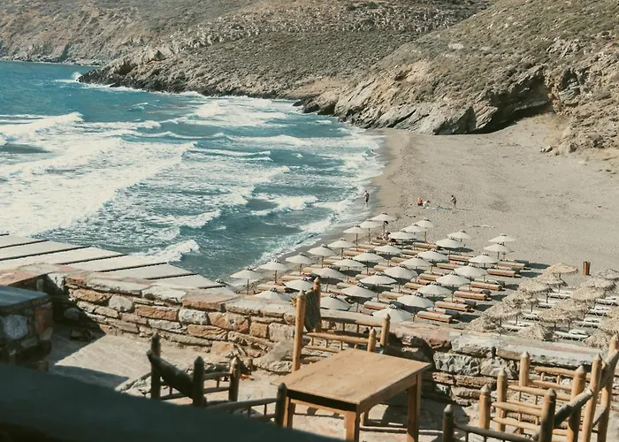 Paradise 3*