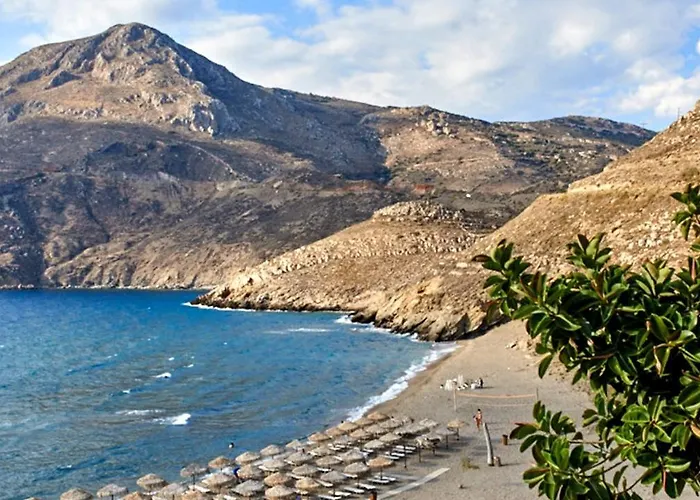 Paradise 3*